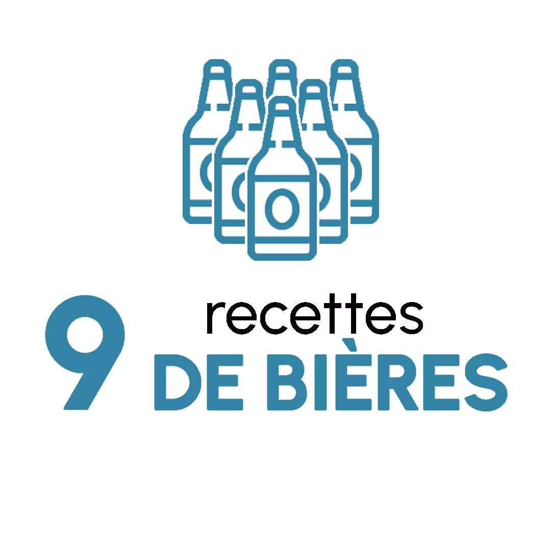 9 Recettes de bières